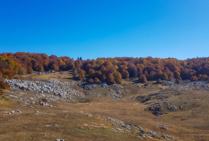 Kamešnica Mountain, Planina Kamešnica