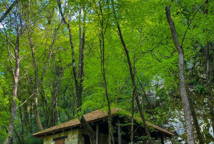 Tisne Stine, Cetina Canyon