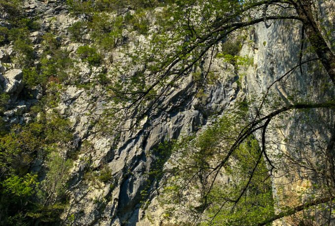 Tisne Stine, Cetina Canyon