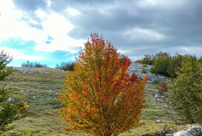 Kamešnica Mountain, Planina Kamešnica