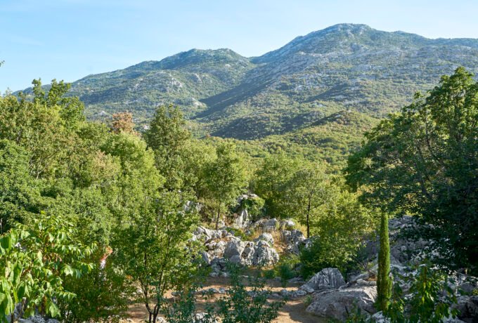 Špilja_Vranjača_(Höhle),_Kotlenice_(Split-Dalmatien,_Kroatien)_-_0116