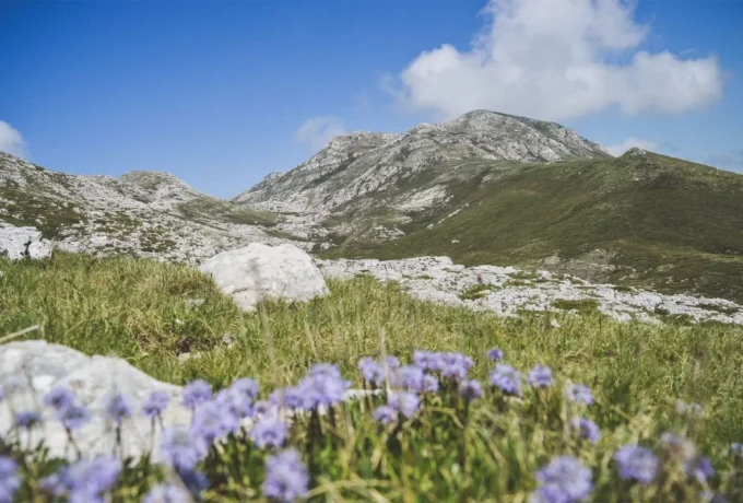 Dinara Mountain, Planina Dinara