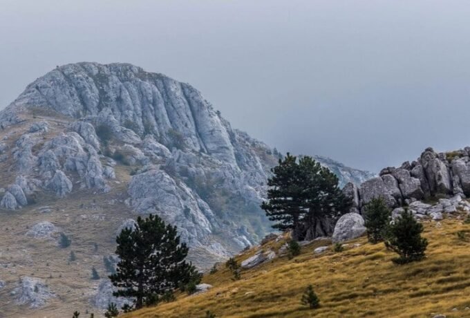 Dinara Mountain, Planina Dinara