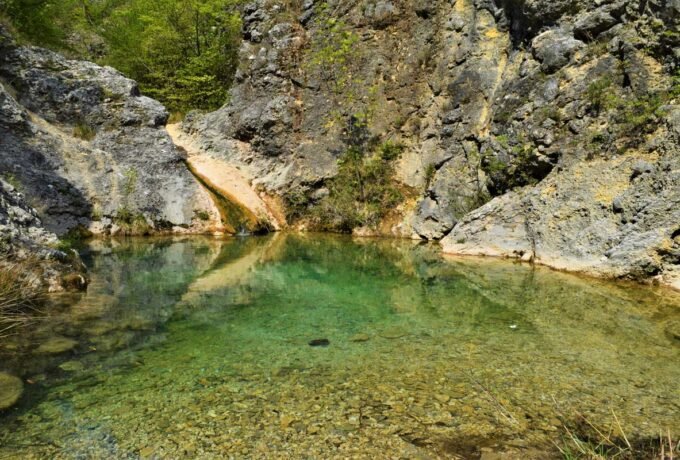 Photo by Monika Vrgoč