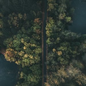 jan-henrik-franz-1063148-unsplash